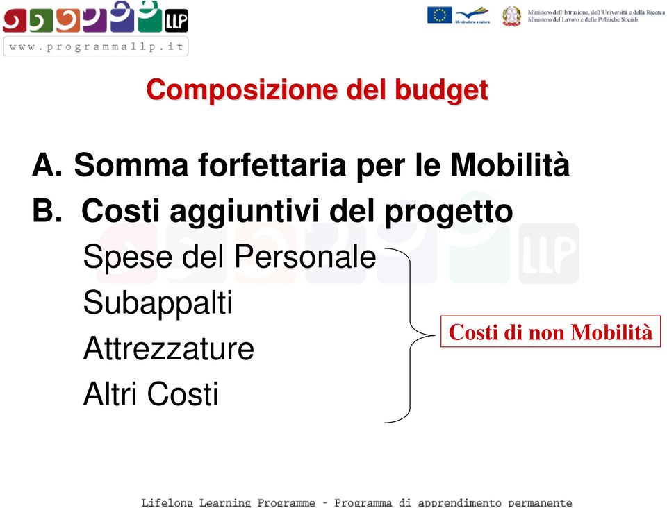 Costi aggiuntivi del progetto Spese del