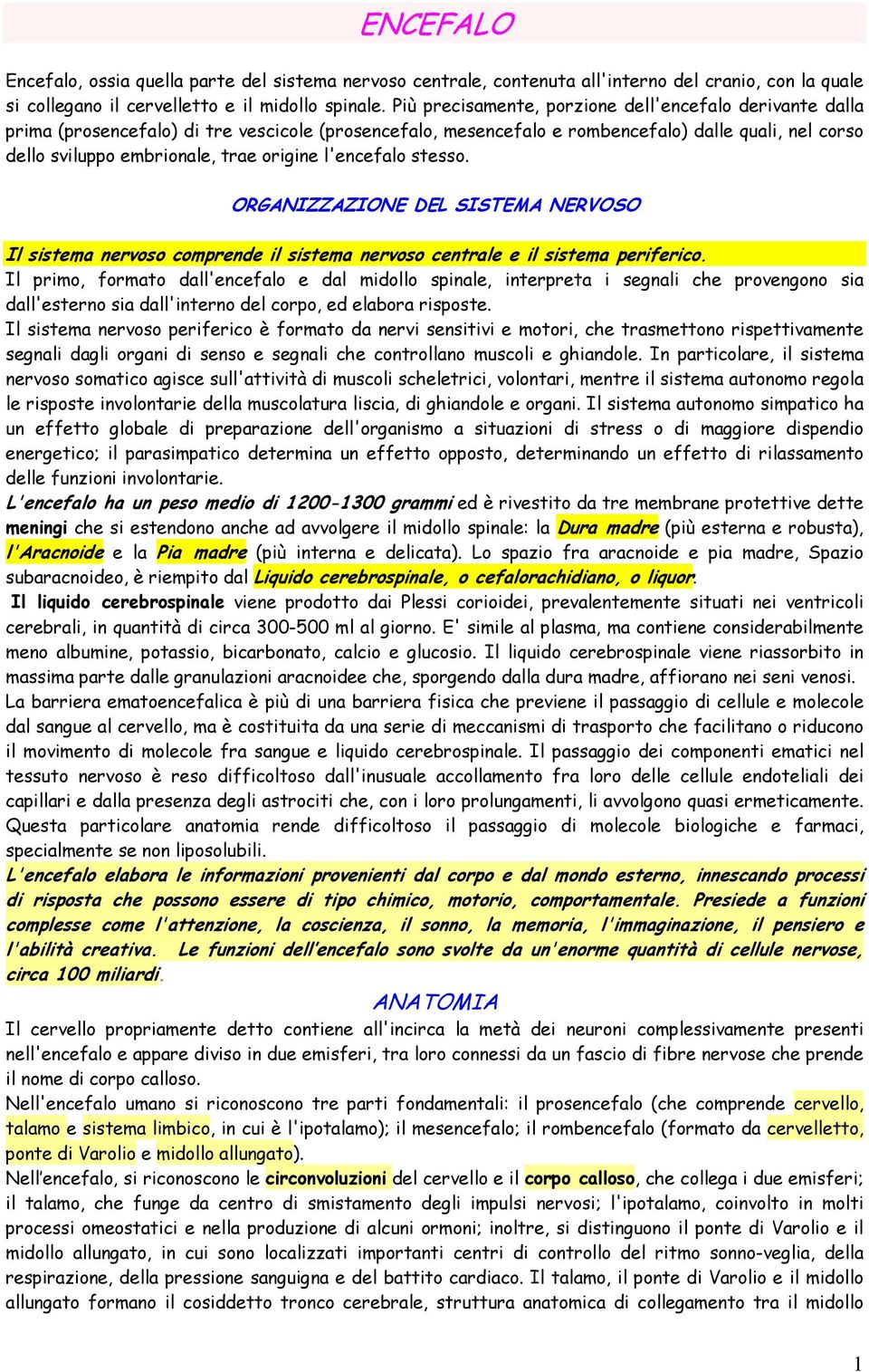 origine l'encefalo stesso. ORGANIZZAZIONE DEL SISTEMA NERVOSO Il sistema nervoso comprende il sistema nervoso centrale e il sistema periferico.