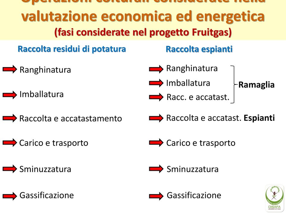 Ranghinatura Imballatura Racc. e accatast.