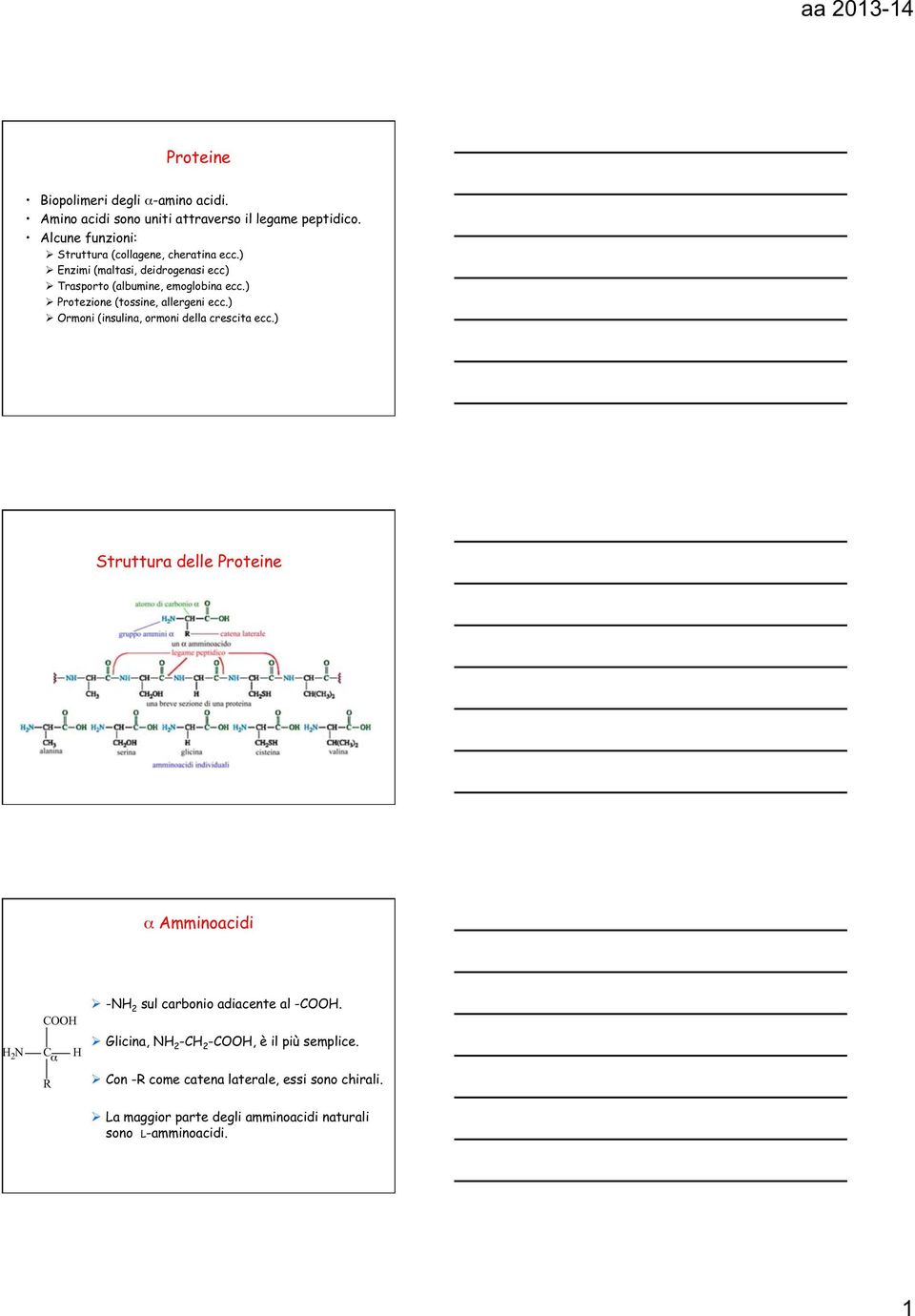 ) Protezione (tossine, allergeni ecc.) rmoni (insulina, ormoni della crescita ecc.