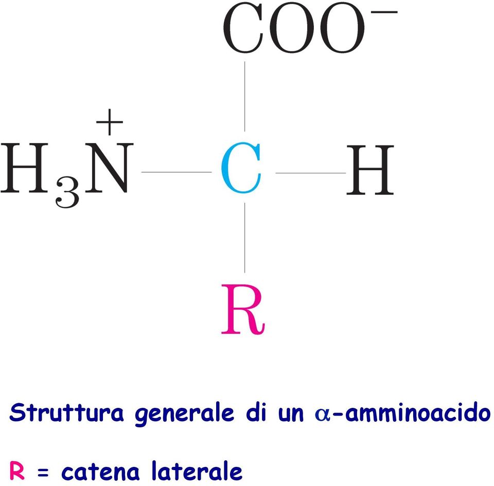 α-amminoacido