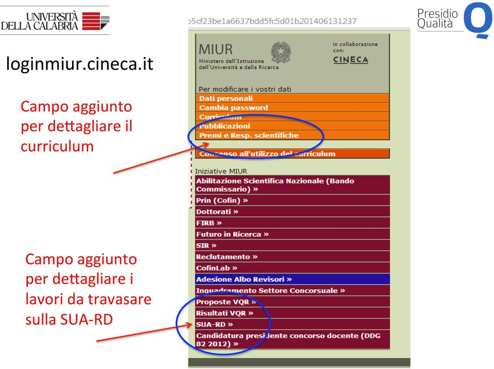 il curriculum Campo aggiunto per