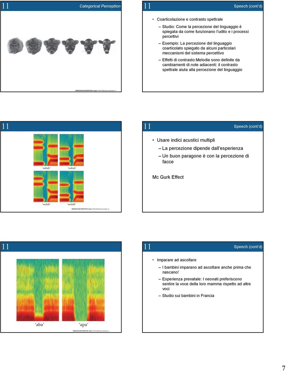 spettrale aiuta alla percezione del linguaggio 11 Usare indici acustici multipli La percezione dipende dall esperienza Un buon paragone è con la percezione di facce Mc Gurk Effect 11 Imparare