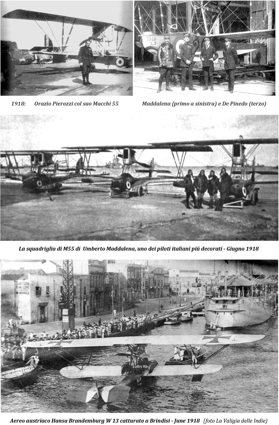 piloti italiani piú decorati Giugno 1918 Aereo austriaco Hansa