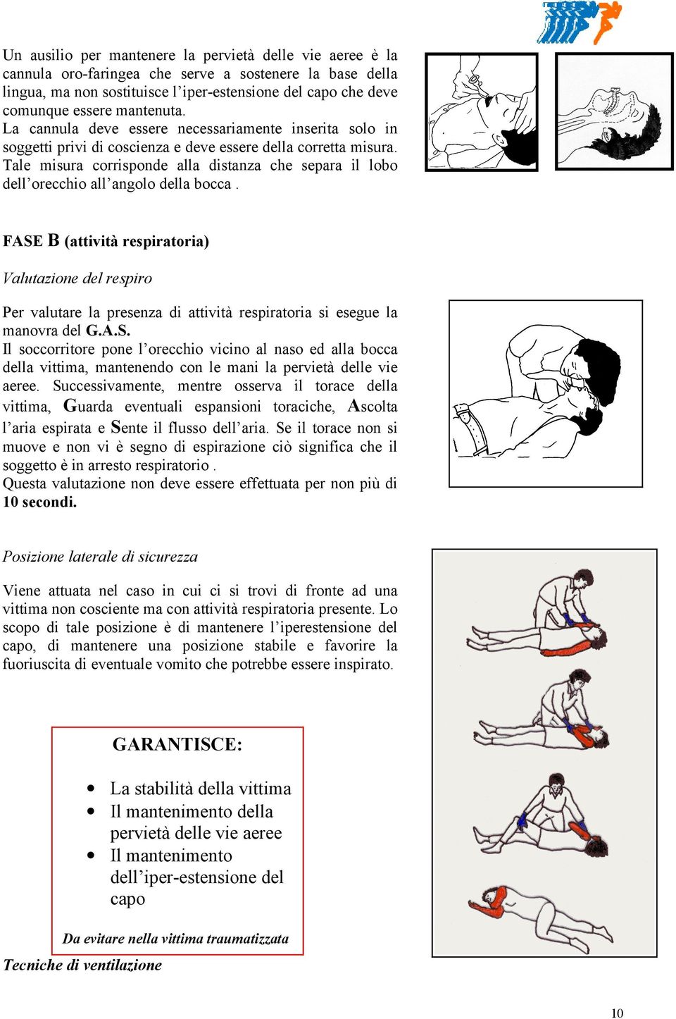 Tale misura corrisponde alla distanza che separa il lobo dell orecchio all angolo della bocca.