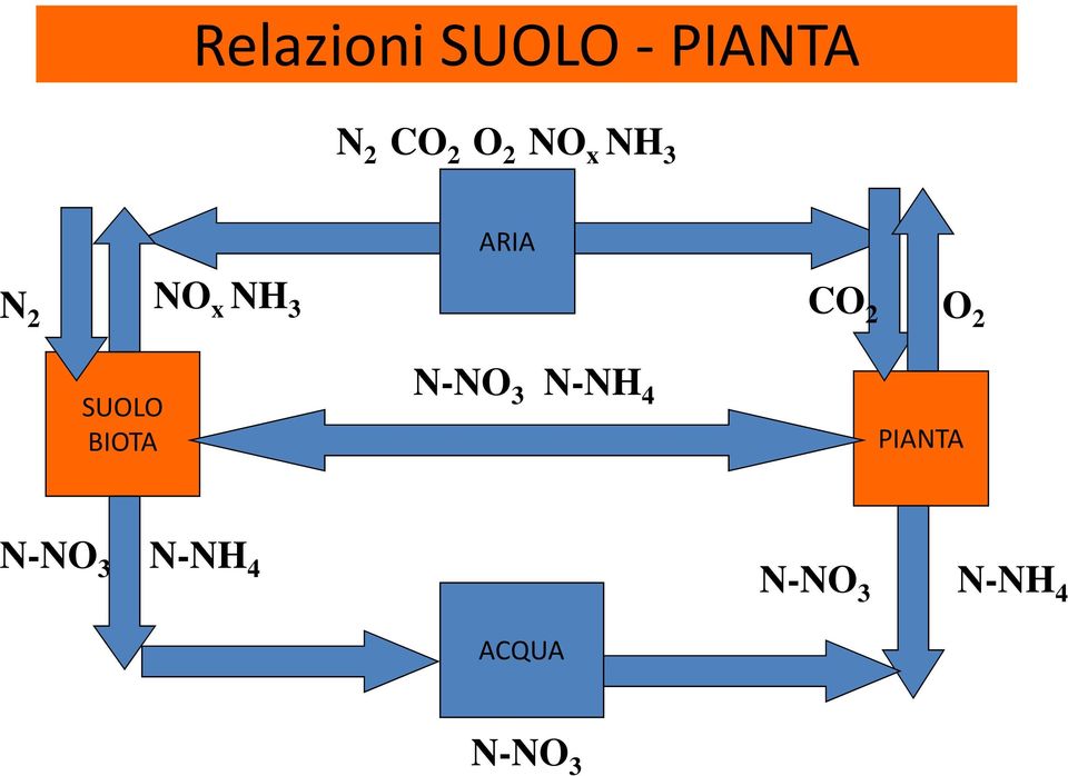 2 SUOLO BIOTA N-NO 3 N-NH 4 PIANTA