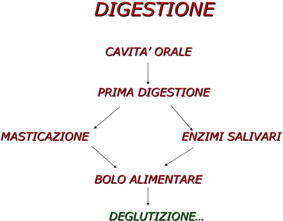 MASTICAZIONE ENZIMI