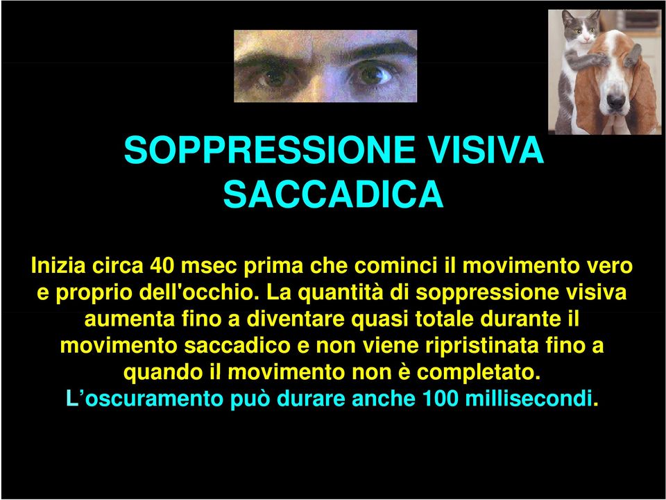 La quantità di soppressione visiva aumenta fino a diventare quasi totale t durante