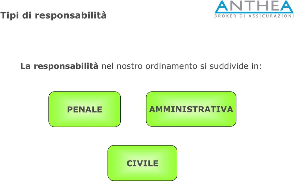 ordinamento si suddivide