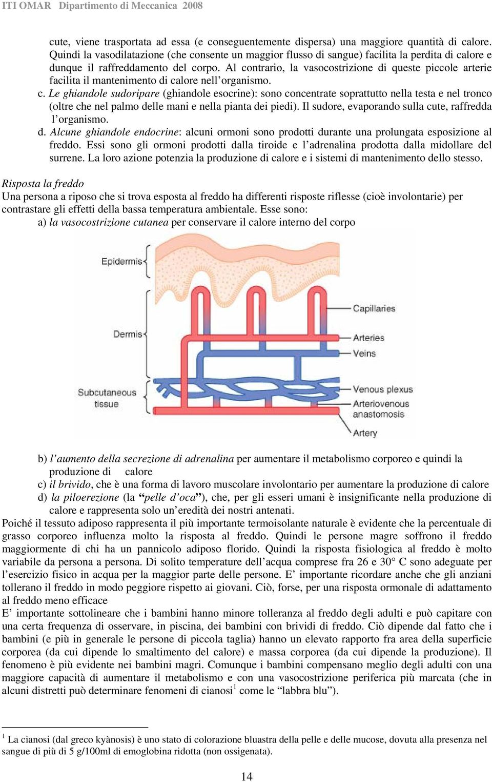 Al contrrio, l vsocostrizione di queste piccole rterie fcilit il mntenimento di clore nell orgnismo. c. Le ghindole sudoripre (ghindole esocrine): sono concentrte soprttutto nell test e nel tronco (oltre che nel plmo delle mni e nell pint dei piedi).