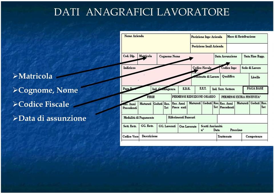 Cognome, Nome Codice