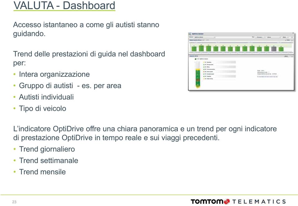 per area Autisti individuali Tipo di veicolo L indicatore OptiDrive offre una chiara panoramica e un