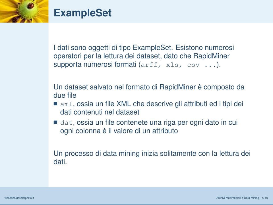 Un dataset salvato nel formato di RapidMiner è composto da due file aml, ossia un file XML che descrive gli attributi ed i tipi dei dati