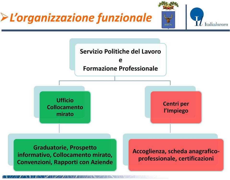 Graduatorie, Prospetto informativo, Collocamento mirato, Convenzioni,