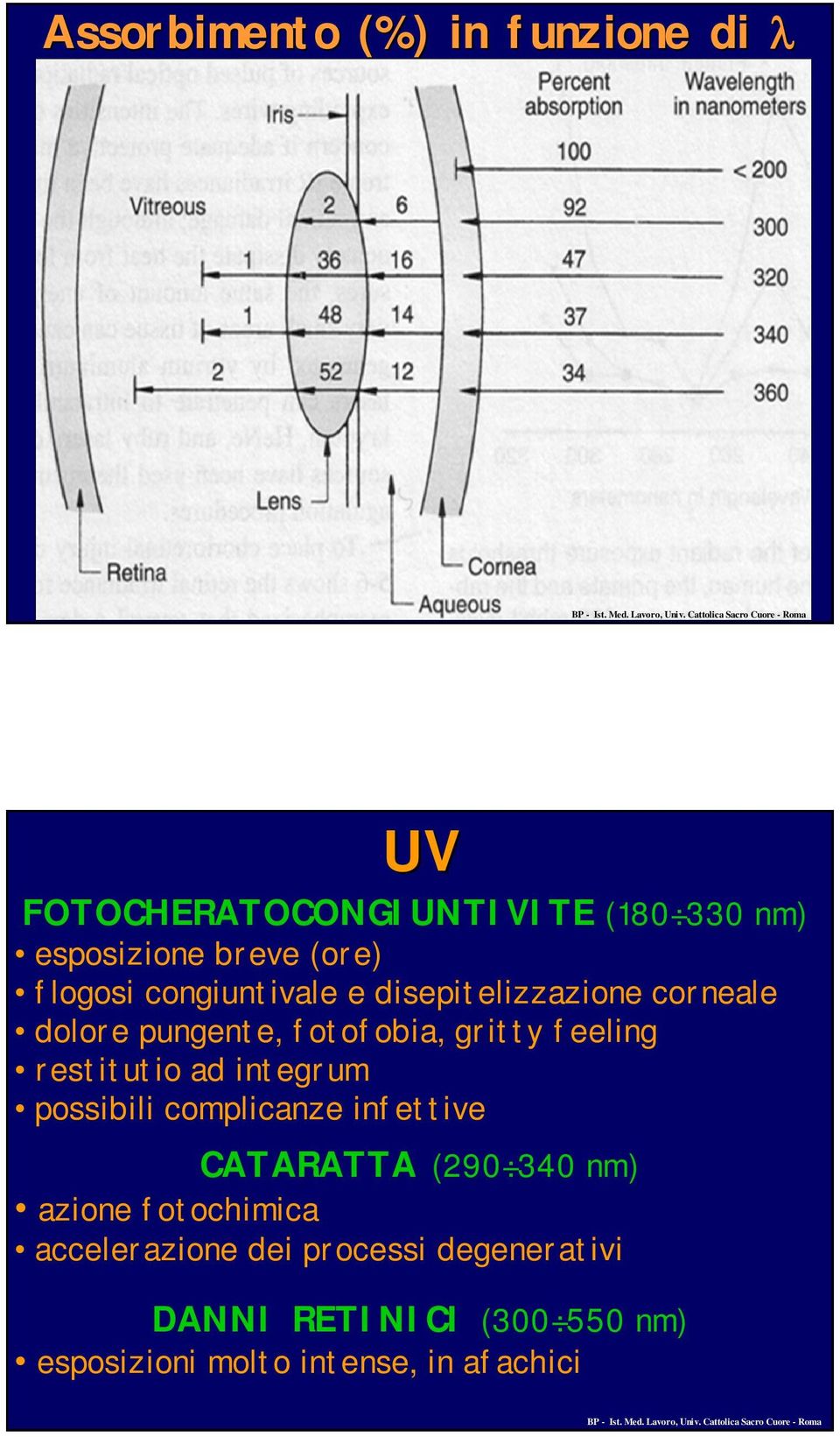 restitutio ad integrum possibili complicanze infettive CATARATTA (290 340 nm) azione fotochimica