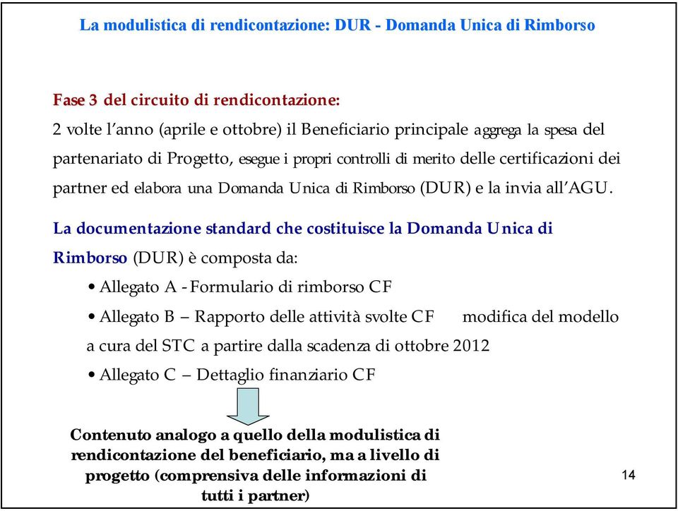 La documentazione standard che costituisce la Domanda Unica di Rimborso (DUR) è composta da: Allegato A - Formulario di rimborso CF Allegato B Rapporto delle attività svolte CF a cura del STC a