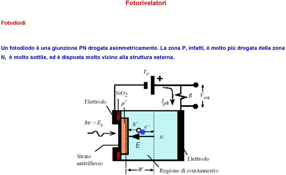 La zona P, infatti, è molto più drogata della zona