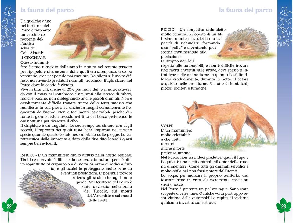 Da allora si è molto diffuso, non avendo predatori naturali, trovando rifugio sicuro nel Parco dove la caccia è vietata.