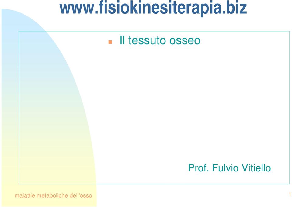 Prof. Fulvio Vitiello