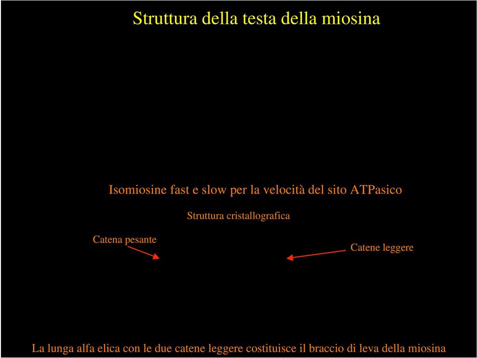 cristallografica Catena pesante Catene leggere La lunga