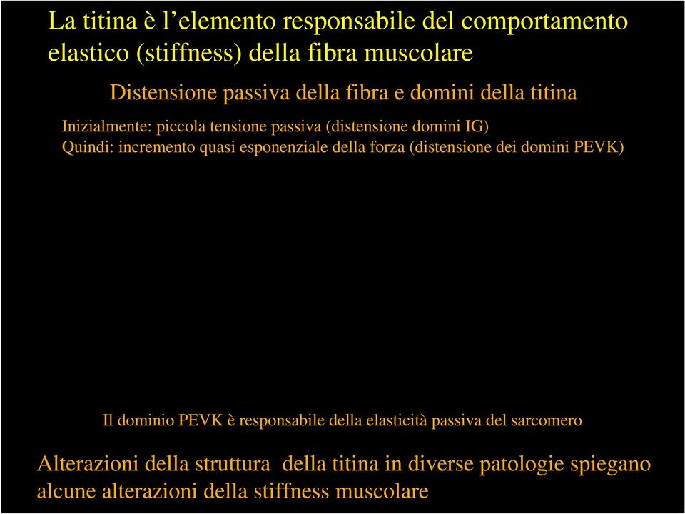 quasi esponenziale della forza (distensione dei domini PEVK) Il dominio PEVK è responsabile della elasticità passiva