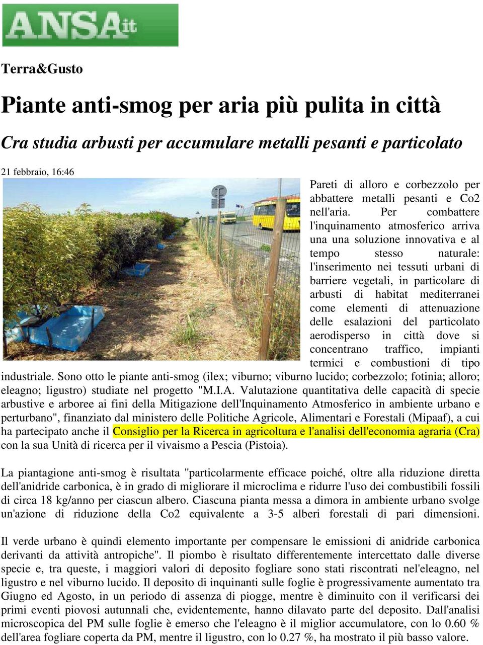 Per combattere l'inquinamento atmosferico arriva una una soluzione innovativa e al tempo stesso naturale: l'inserimento nei tessuti urbani di barriere vegetali, in particolare di arbusti di habitat