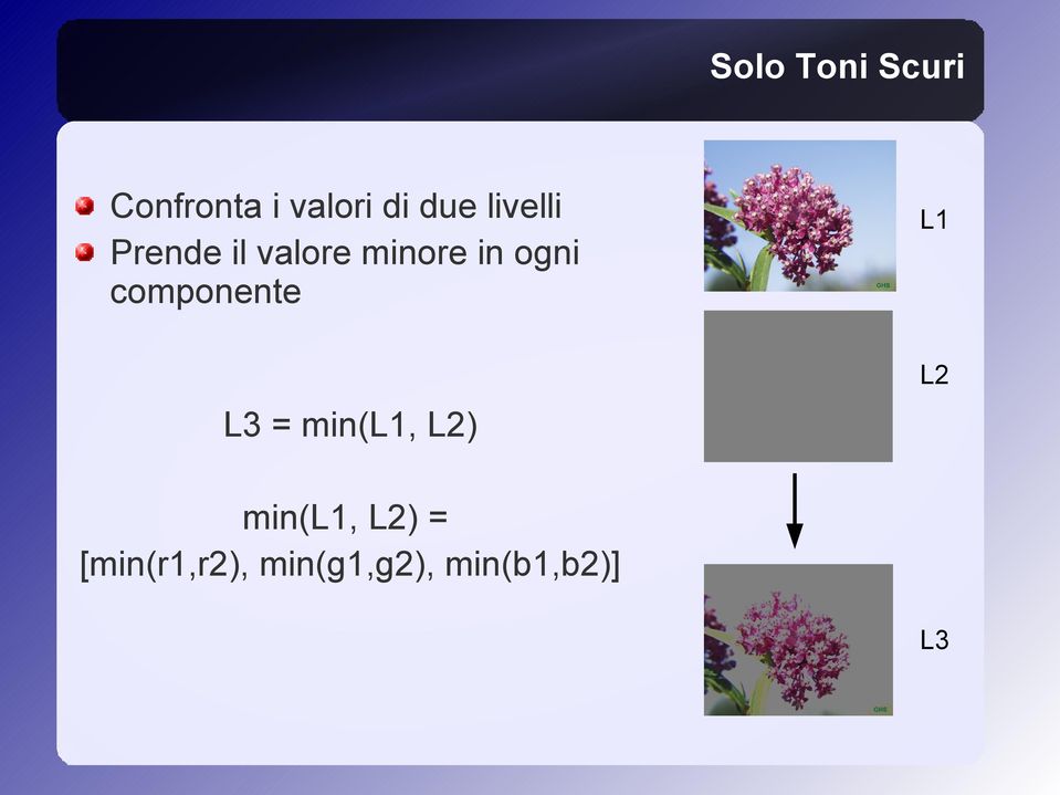 componente L1 L2 L3 = min(l1, L2) min(l1,