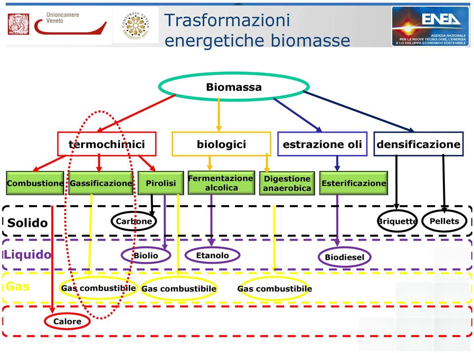 Digestione anaerobica Esterificazione Solido Carbone Briquette Pellets Liquido