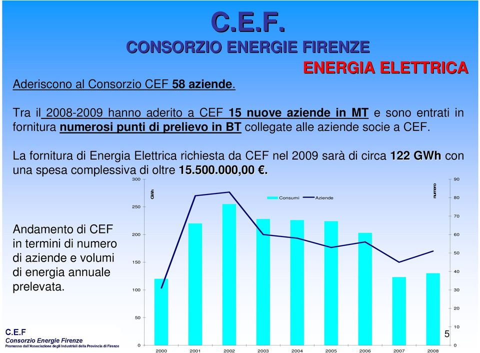 socie a CEF. La fornitura di Energia Elettrica richiesta da CEF nel 2009 sarà di circa 122 GWh con una spesa complessiva di oltre 15.500.000,00.