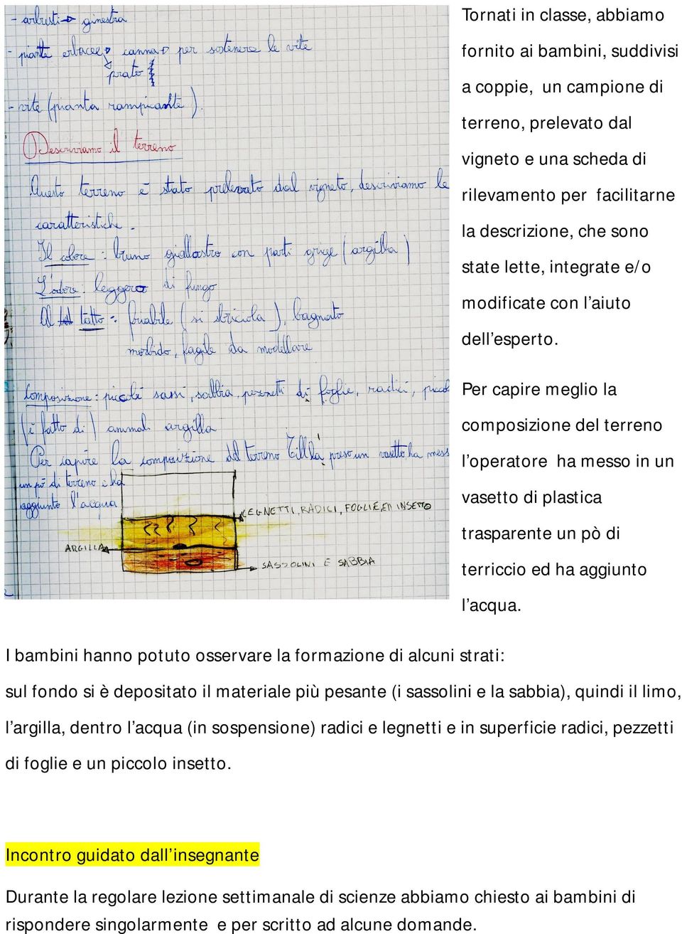 I bambini hanno potuto osservare la formazione di alcuni strati: sul fondo si è depositato il materiale più pesante (i sassolini e la sabbia), quindi il limo, l argilla, dentro l acqua (in