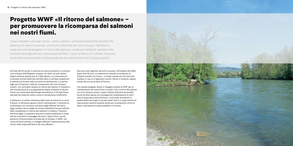 L obiettivo a lungo termine del progetto «Il ritorno del salmone» sostenuto da Bosch consiste nella connettività longitudinale e trasversale del Reno, l Aare, la Reuss e il Limmat.