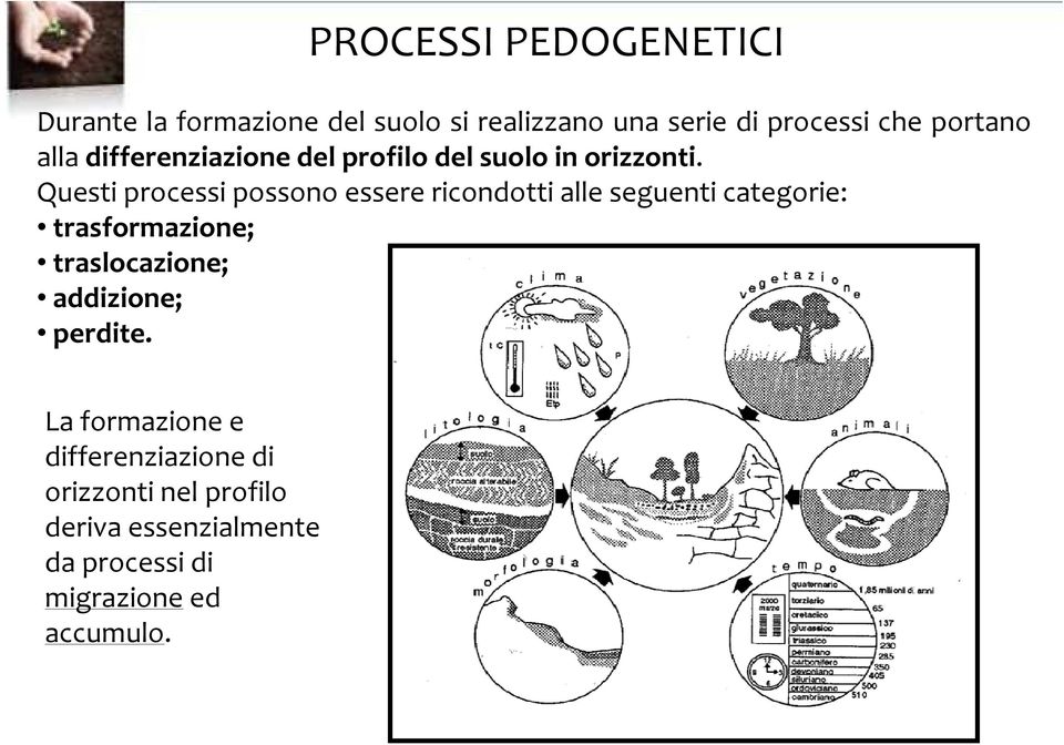 Questi processi possono essere ricondotti alle seguenti categorie: trasformazione; traslocazione;