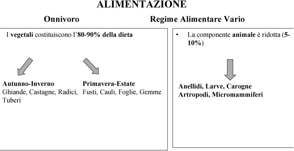 (5-10%) Autunno-Inverno Ghiande, Castagne, Radici, Tuberi