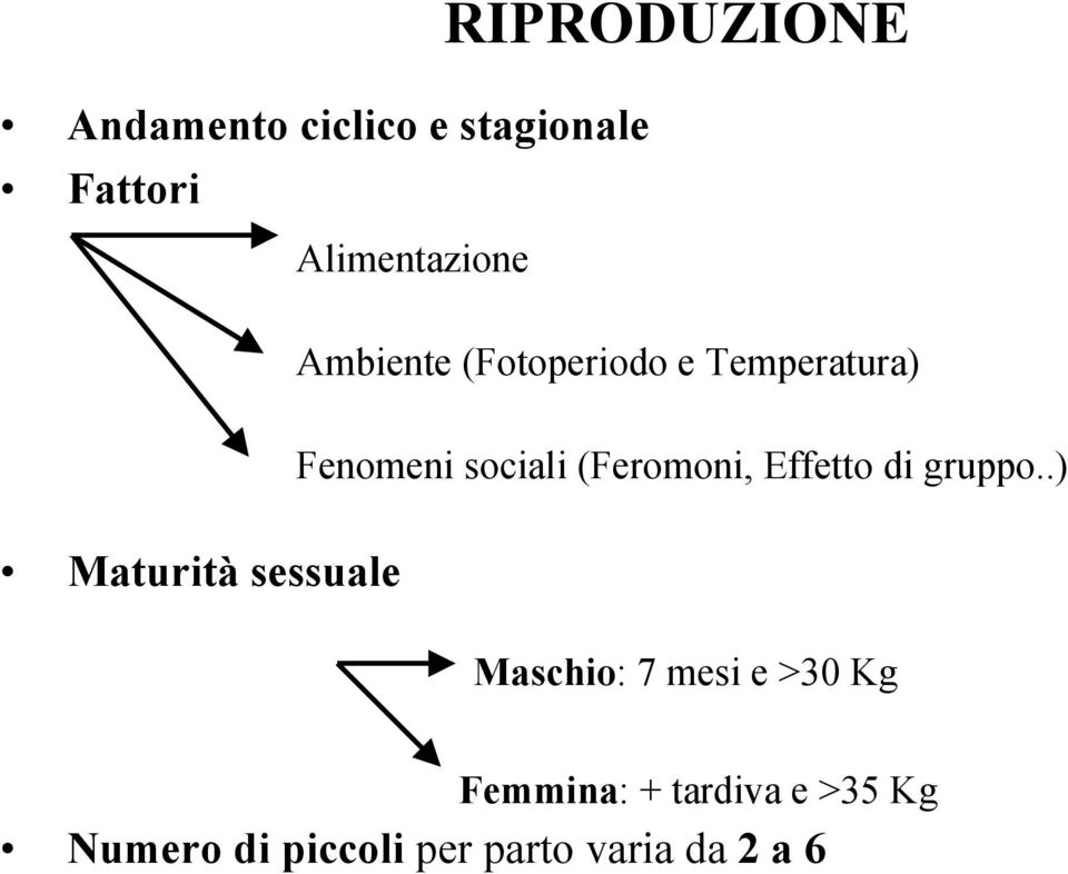 Effetto di gruppo.