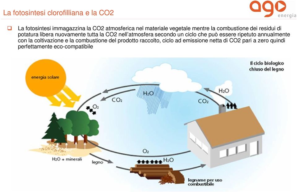 atmosfera secondo un ciclo che può essere ripetuto annualmente con la coltivazione e la