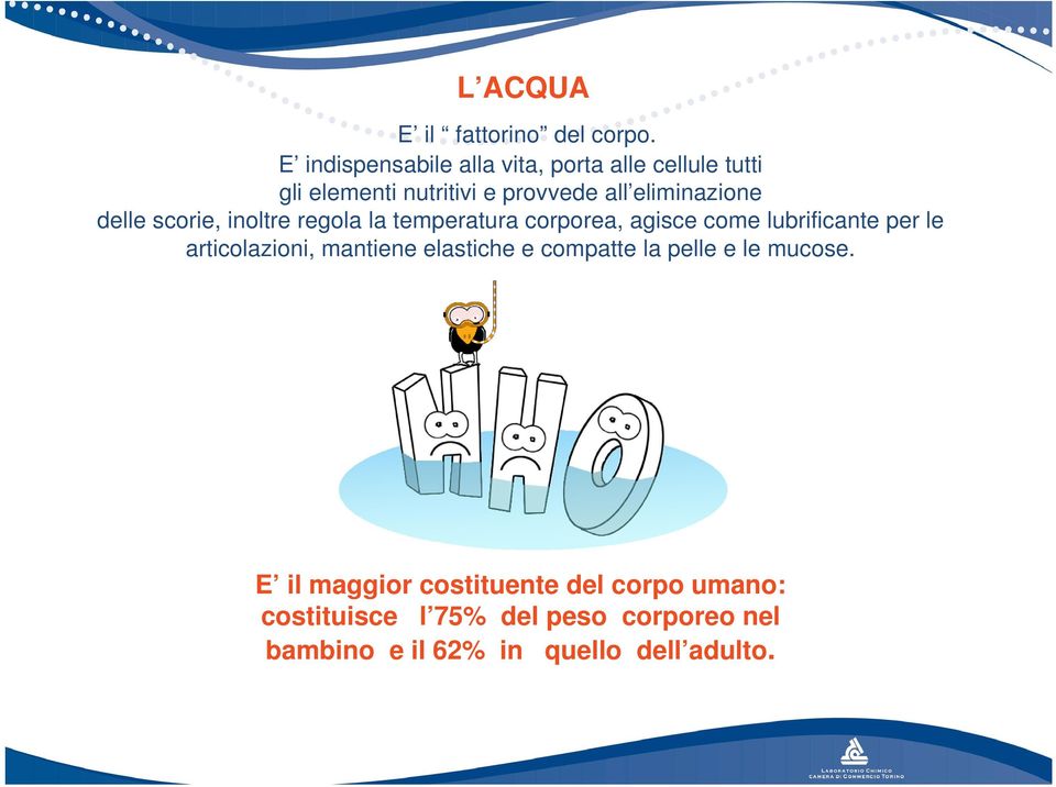 delle scorie, inoltre regola la temperatura corporea, agisce come lubrificante per le articolazioni,