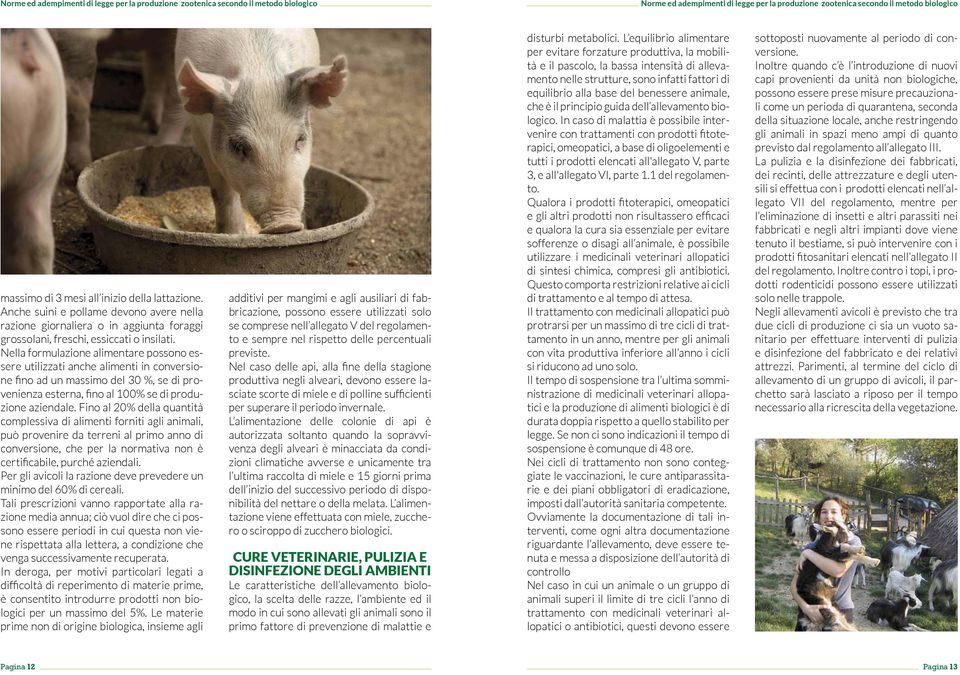 Fino al 20% della quantità complessiva di alimenti forniti agli animali, può provenire da terreni al primo anno di conversione, che per la normativa non è certificabile, purché aziendali.
