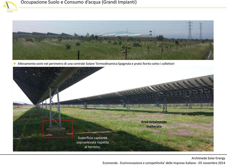 Termodinamica Spagnola e prato fiorito sotto i collettori