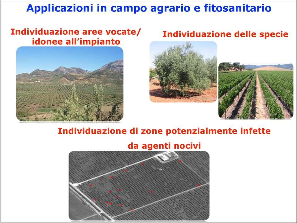 impianto Individuazione delle specie