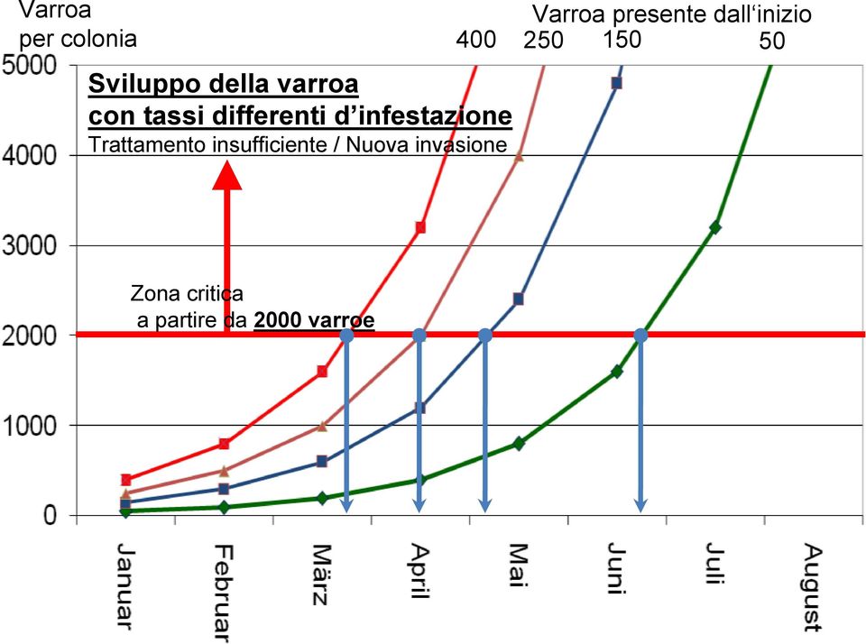 insufficiente / Nuova invasione Varroa presente