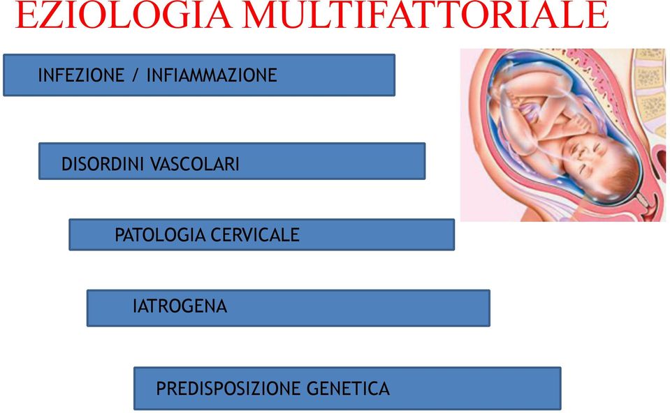 DISORDINI VASCOLARI PATOLOGIA