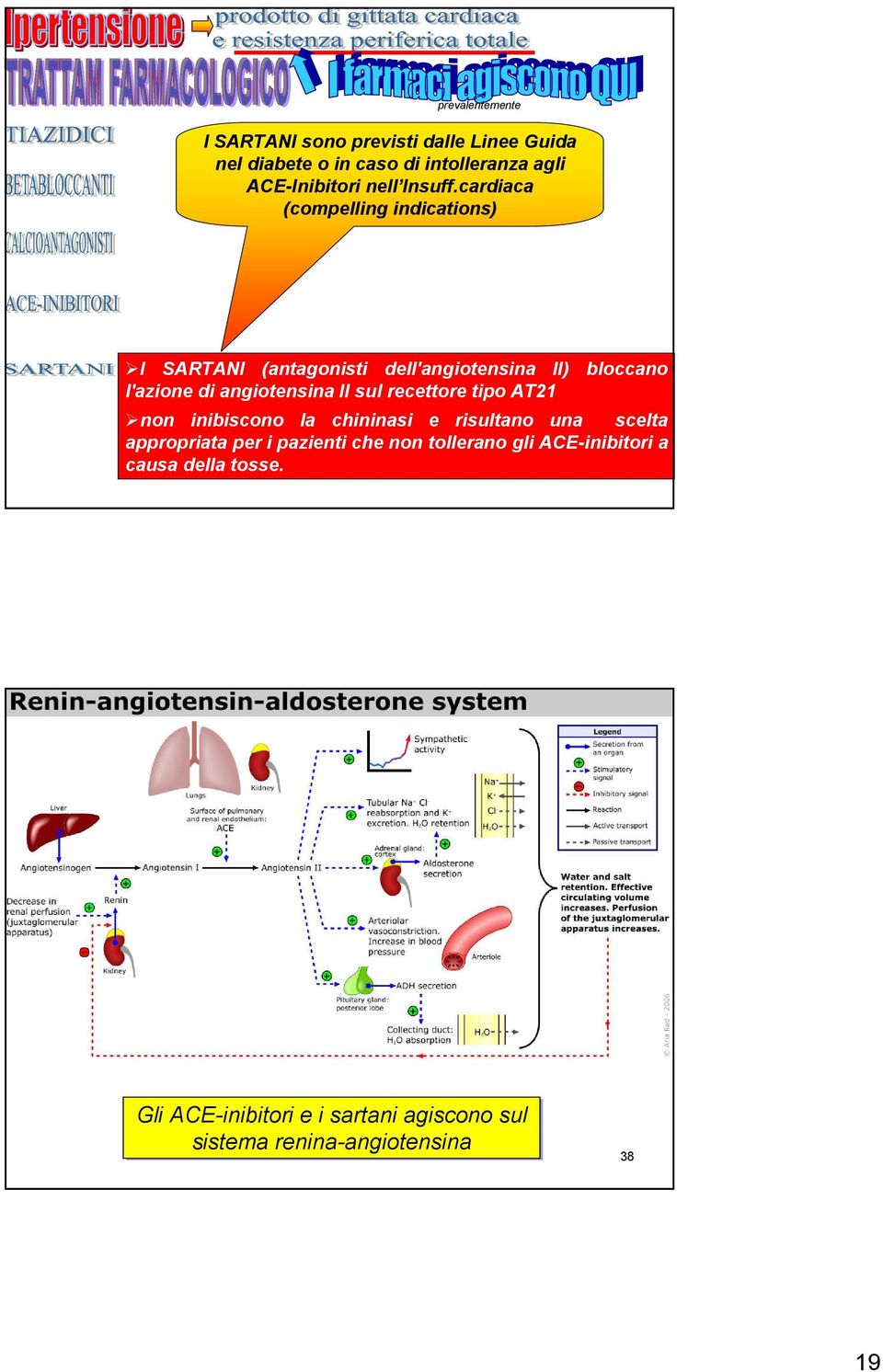 cardiaca (compelling indications) I SARTANI (antagonisti dell'angiotensina II) bloccano l'azione di angiotensina II sul