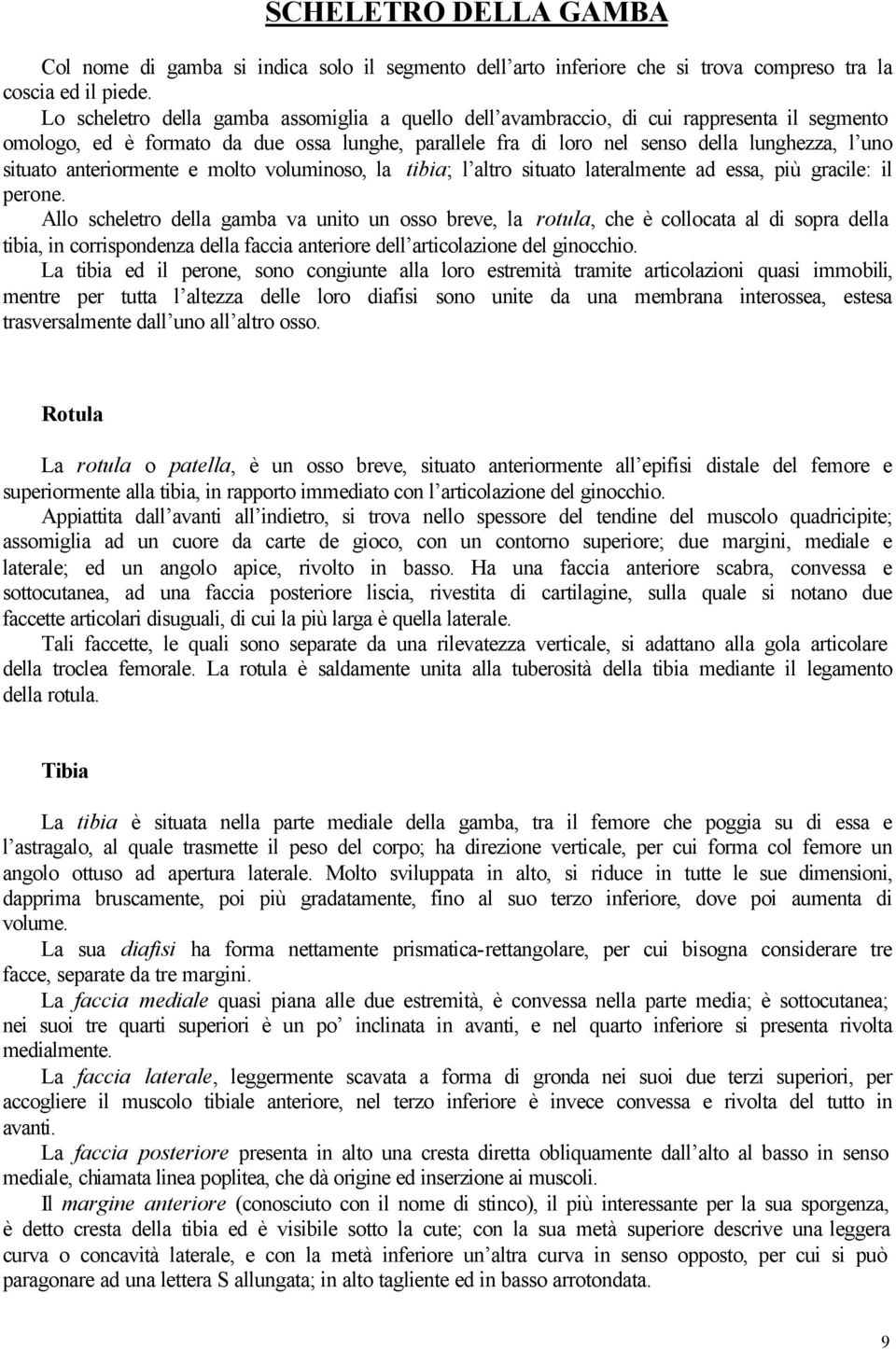 anteriormente e molto voluminoso, la tibia; l altro situato lateralmente ad essa, più gracile: il perone.