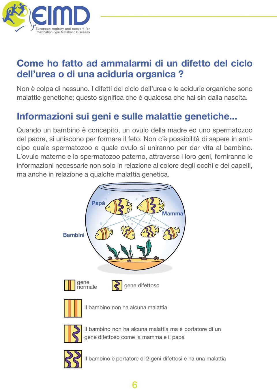 .. Quando un bambino è concepito, un ovulo della madre ed uno spermatozoo del padre, si uniscono per formare il feto.