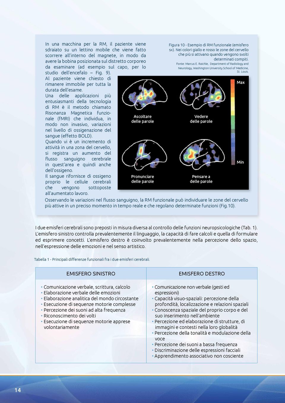 Una delle applicazioni più entusiasmanti della tecnologia di RM è il metodo chiamato Risonanza Magnetica funzionale (fmri) che individua, in modo non invasivo, variazioni nel livello di ossigenazione