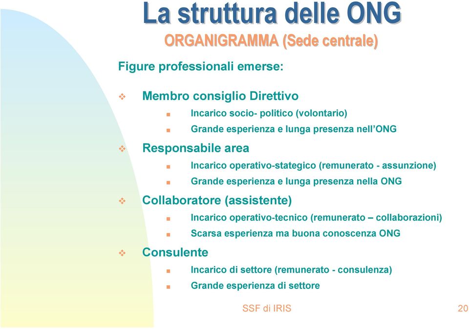 Grande esperienza e lunga presenza nella ONG Collaboratore (assistente) Consulente Incarico operativo-tecnico (remunerato