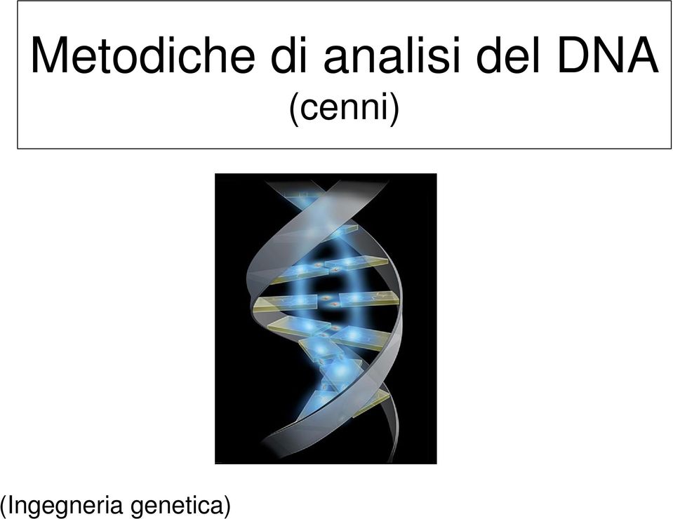 DNA (cenni)