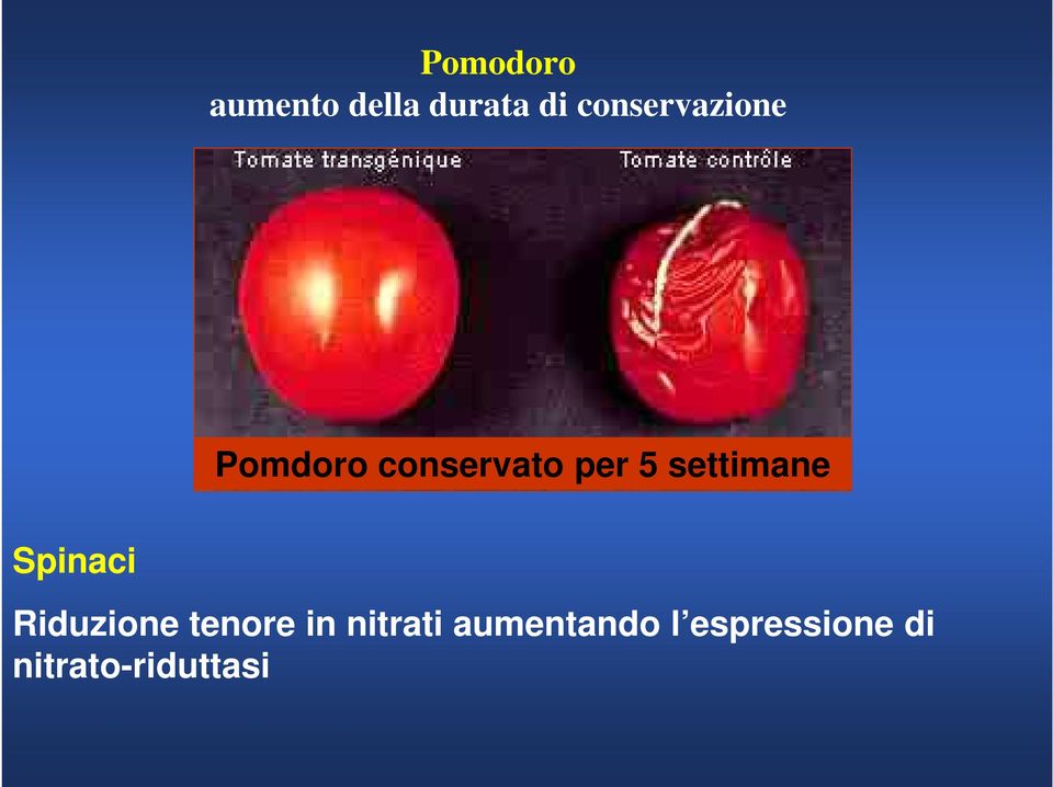 settimane Spinaci Riduzione tenore in