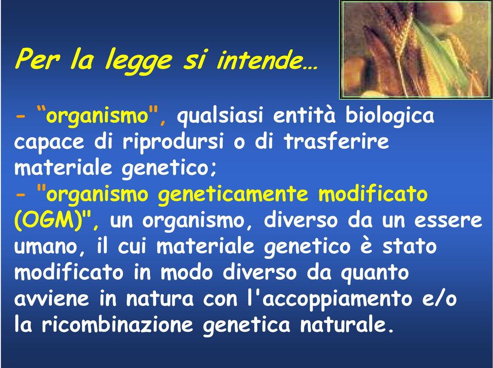 organismo, diverso da un essere umano, il cui materiale genetico è stato modificato in