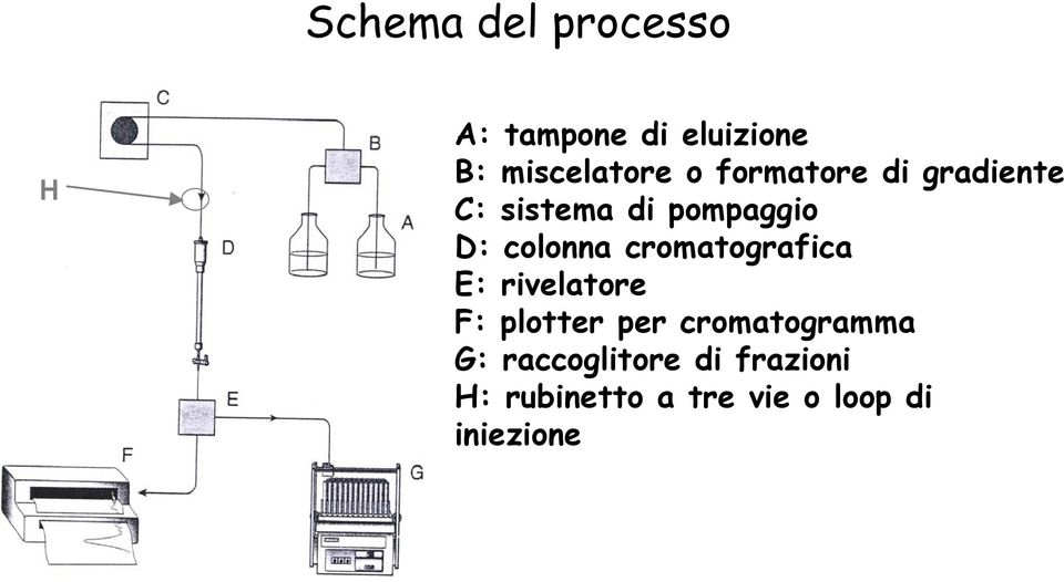 cromatografica E: rivelatore F: plotter per cromatogramma G: